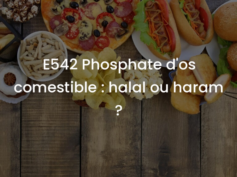 E542 Phosphate d&rsquo;os comestible : halal ou haram ?
