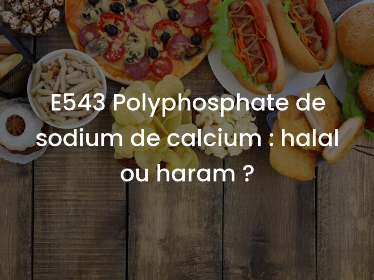 E543 Polyphosphate de sodium de calcium : halal ou haram ?