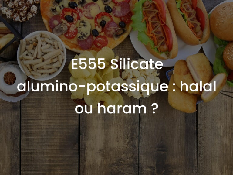 E555 Silicate alumino-potassique : halal ou haram ?