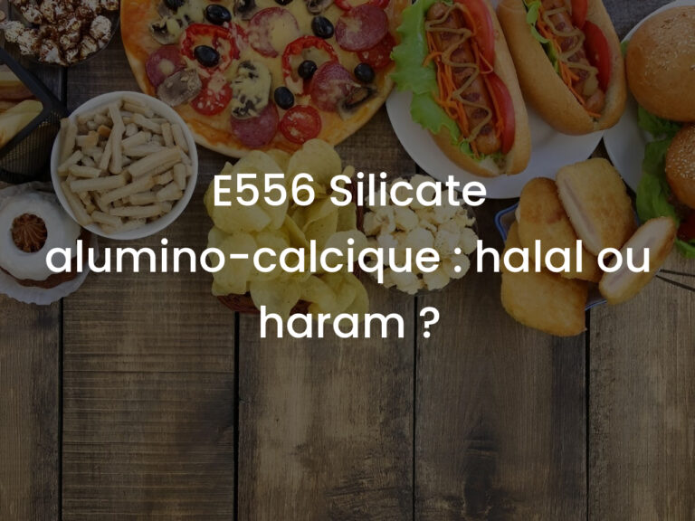 E556 Silicate alumino-calcique : halal ou haram ?