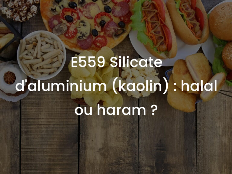 E559 Silicate d&rsquo;aluminium (kaolin) : halal ou haram ?