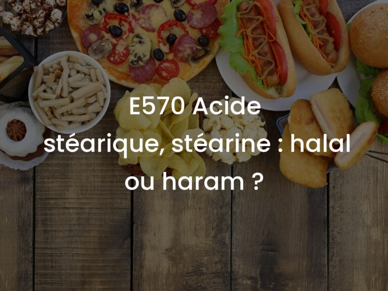 E570 Acide stéarique, stéarine : halal ou haram ?