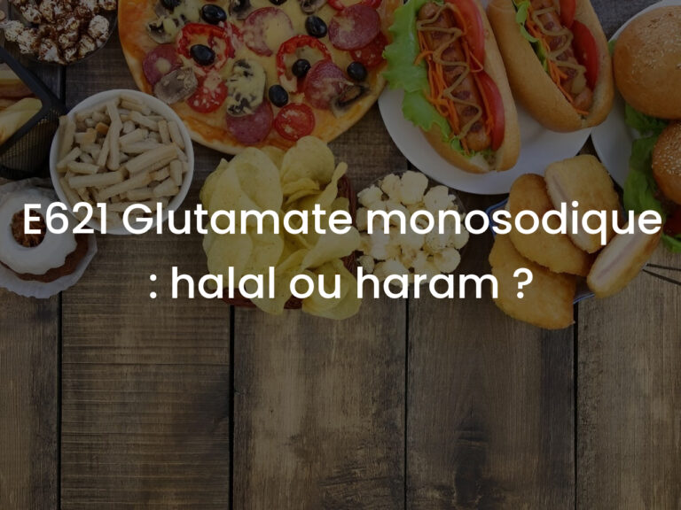 E621 Glutamate monosodique : halal ou haram ?