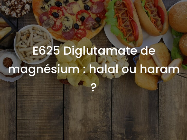 E625 Diglutamate de magnésium : halal ou haram ?