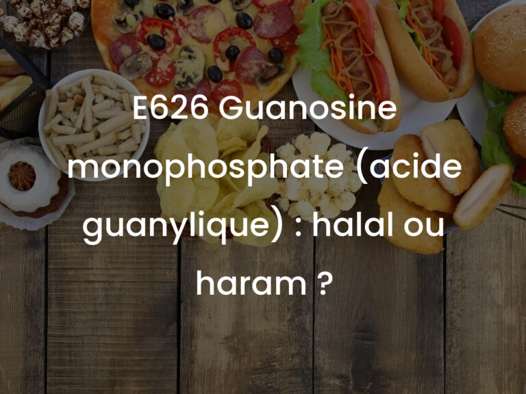 E626 Guanosine monophosphate (acide guanylique) : halal ou haram ?
