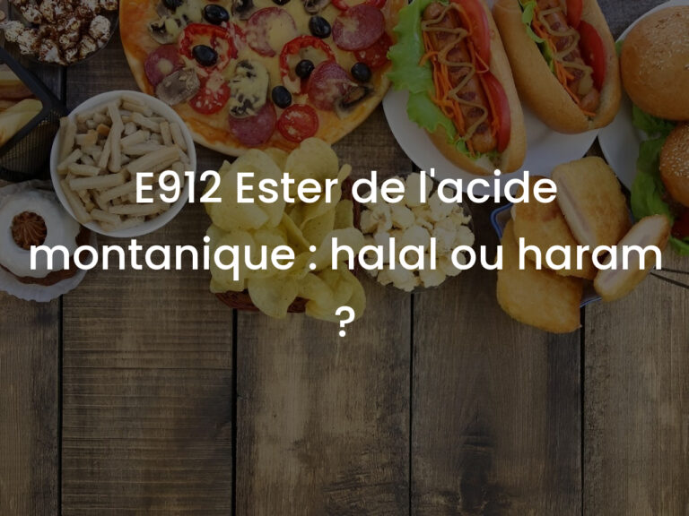 E912 Ester de l&rsquo;acide montanique : halal ou haram ?
