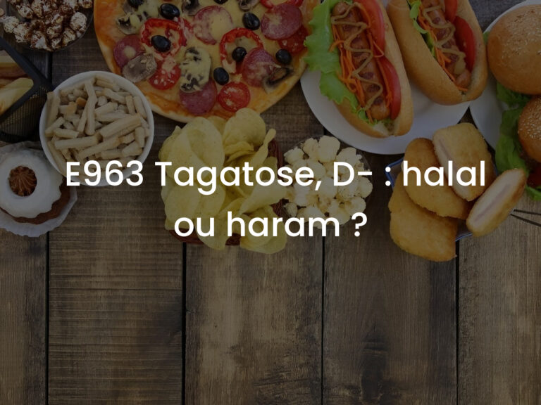 E963 Tagatose, D- : halal ou haram ?