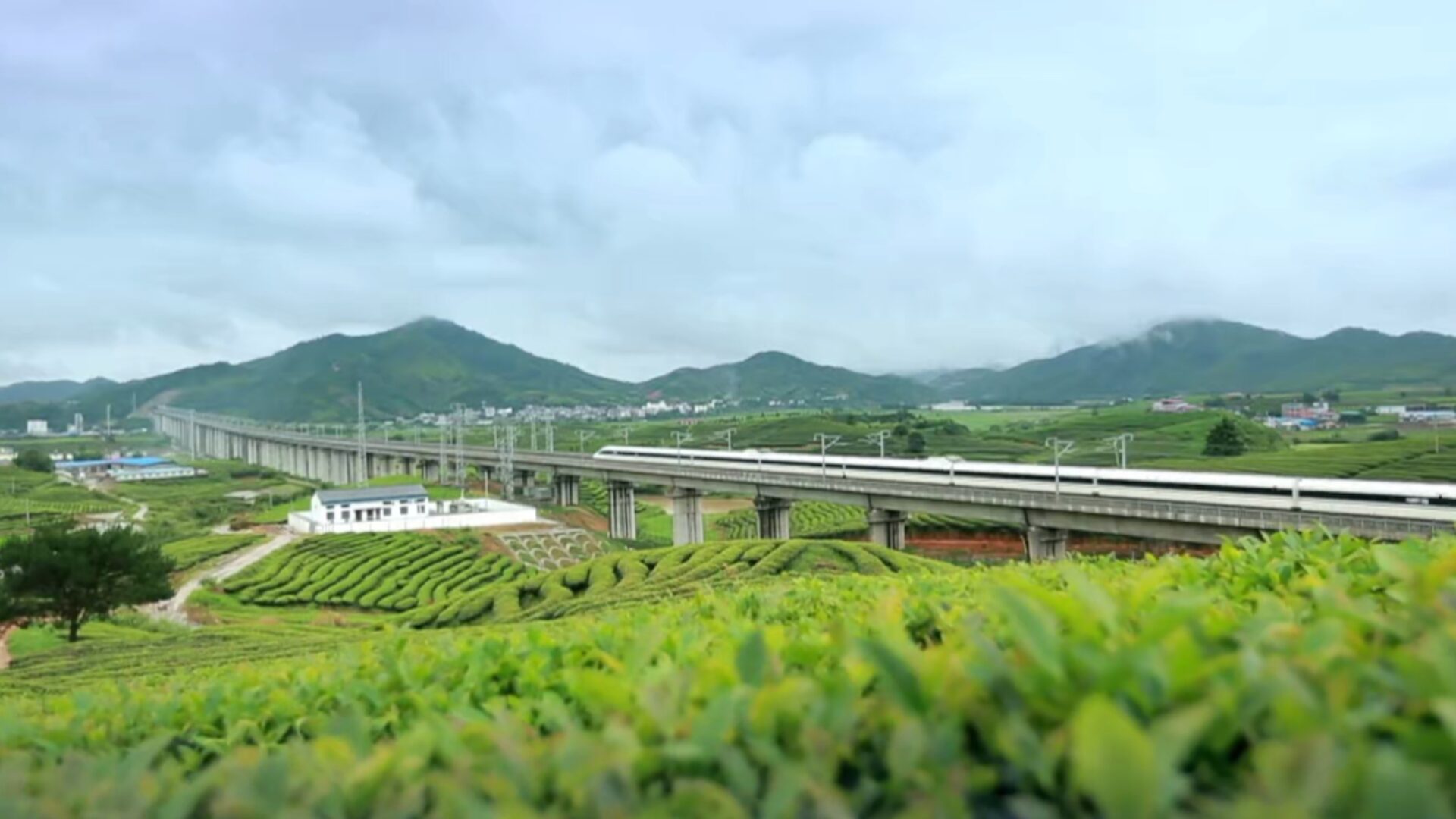 Les espaces verts de La Mecque explosent de 600 % en 5 mois