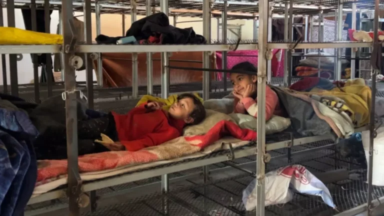 Des enfants de Gaza dorment dans des cages à poulets à Rafah
