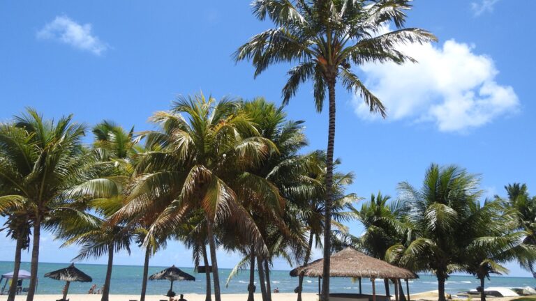 Comment vivre la « bonne vie » ?  6 leçons du Coran