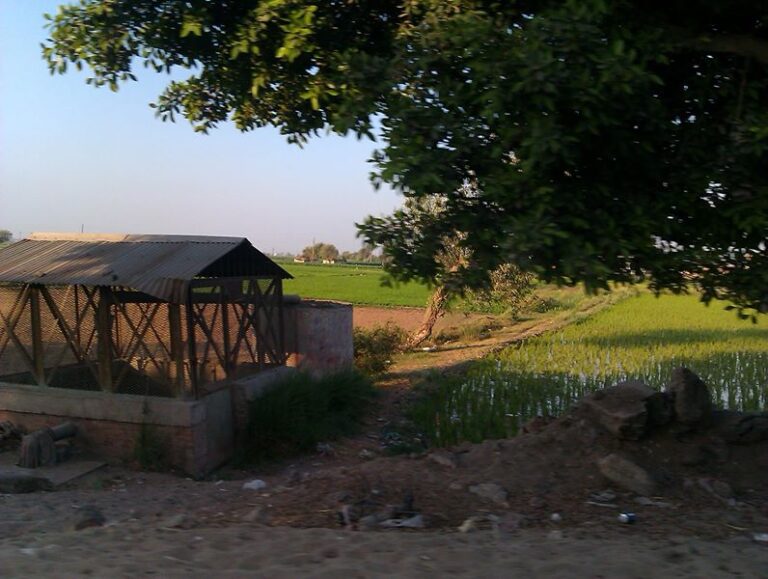 Comment pouvons-nous cultiver la joie au milieu du chagrin ?