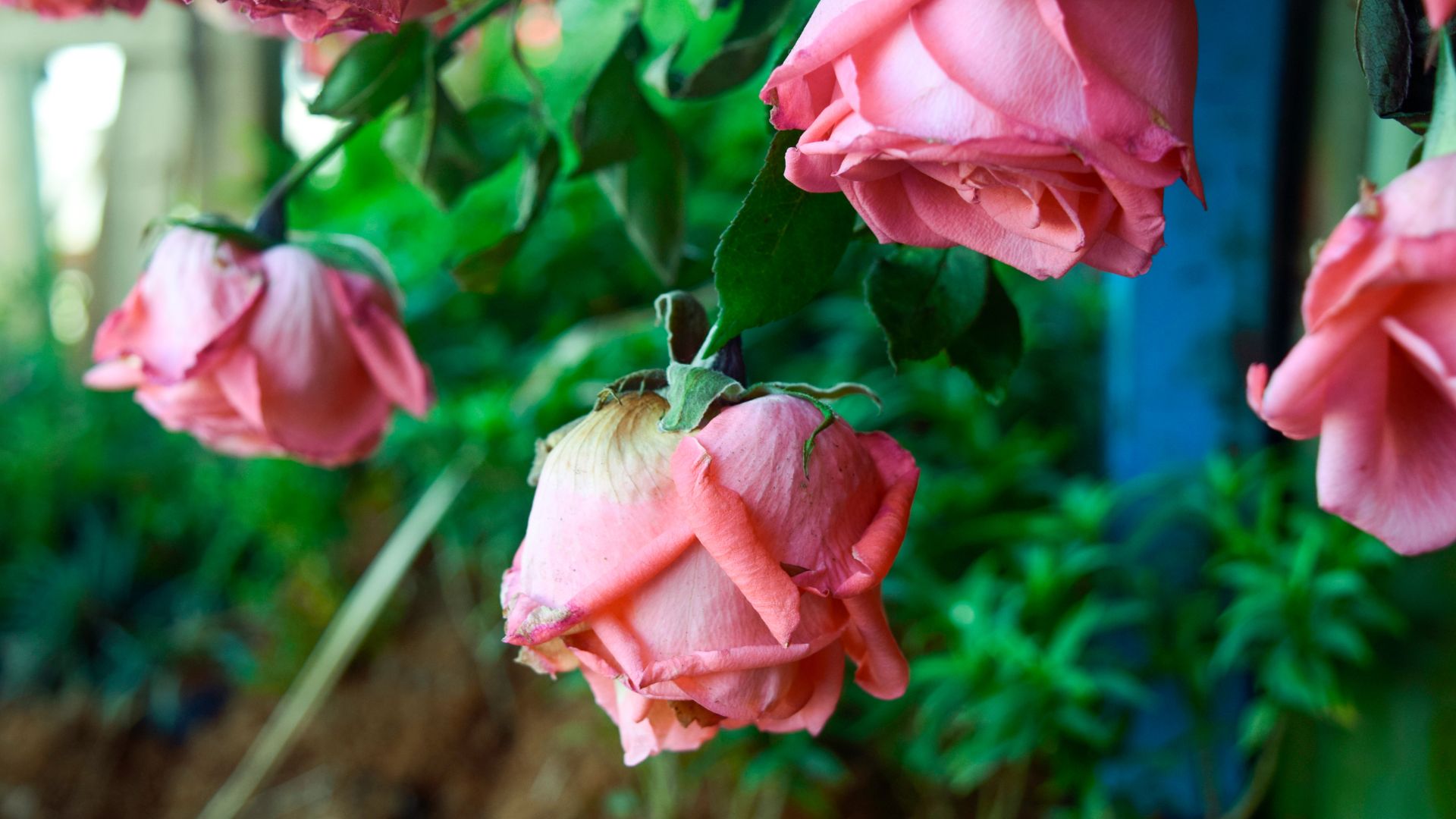 Demandez au conseiller conjugal