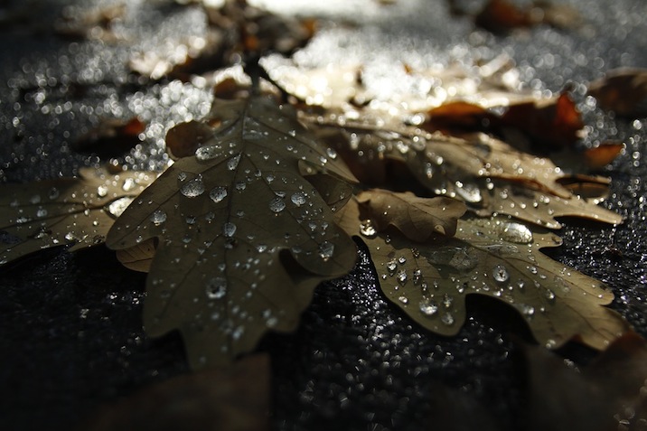 Les premières larmes du Prophète Muhammad (PSL)