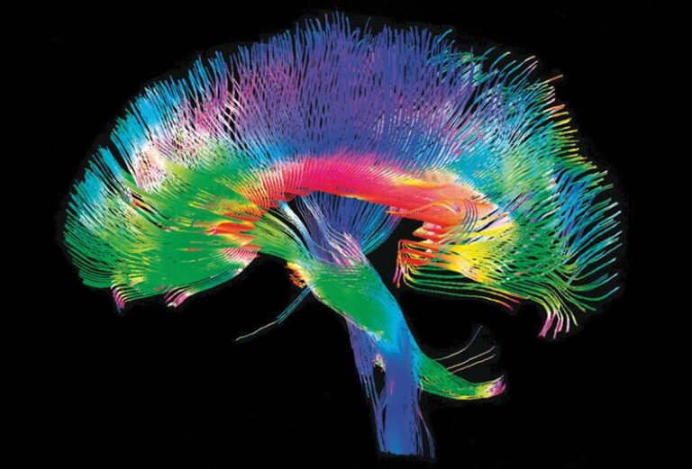 Recâbler le cerveau pour s’en tenir aux résolutions du Ramadan