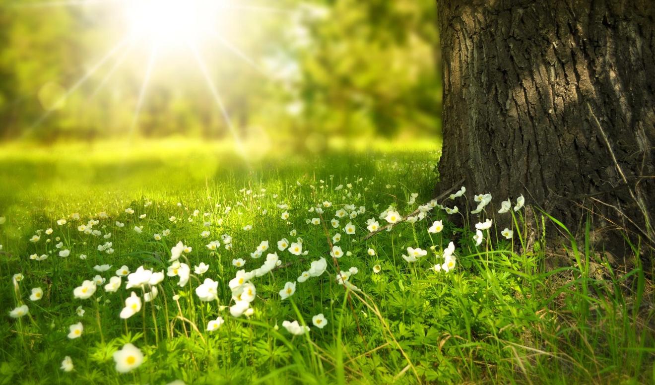 Au petit matin... La promesse d'Allah au Prophète Muhammad (PSL) Au petit matin... La promesse d'Allah au Prophète Muhammad (PSL)