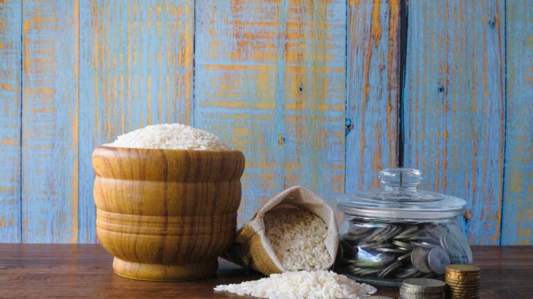 Puis-je donner la Zakât à mon cousin ?