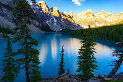 Entre anxiété et confiance en Allah