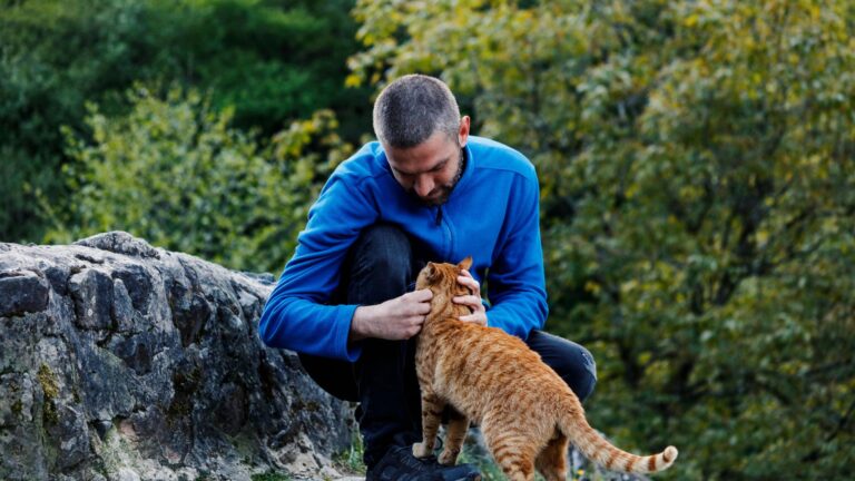 Apprendre la gentillesse et la compassion du prophète Mahomet
