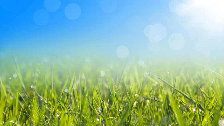 Votre guide de la miséricorde et du pardon d'Allah