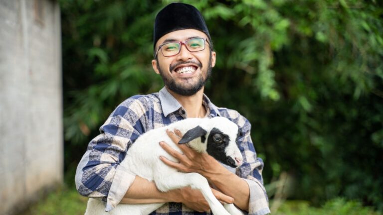 Comment expliquer le massacre de l'Aïd à des amis non musulmans