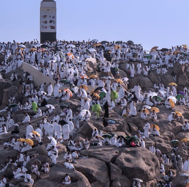 Pèlerins à Arafah : rechercher le pardon et le plaisir d'Allah