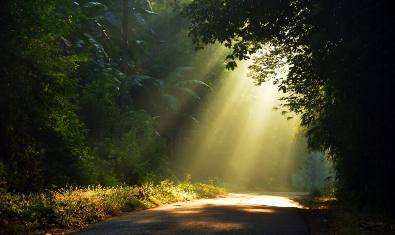 Comment offrir Sujud Ash-Shukr