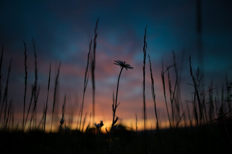 Dhul-Hijjah 6 : Comment se protéger de Satan