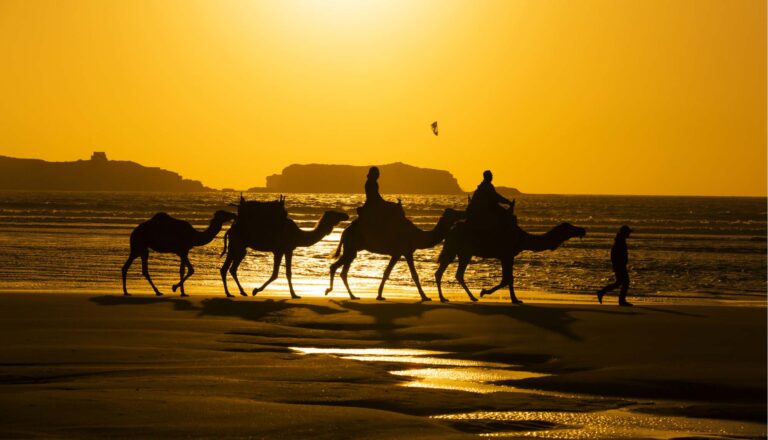 Hijrah : que s’est-il réellement passé ?