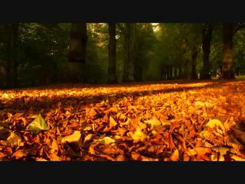 Pouvez-vous combiner les jeûnes manqués avec le jeûne de Dhul-Hijjah ?