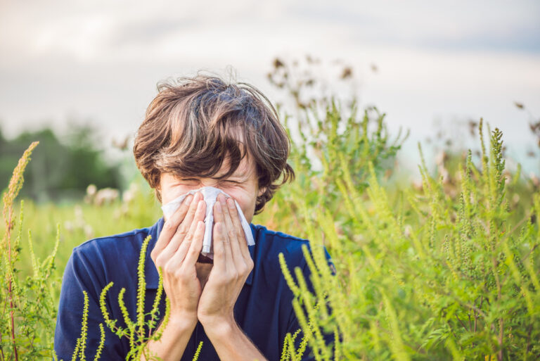 Remèdes à base de plantes pour les allergies estivales