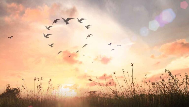 L’espoir en temps de difficulté – Inspirations tirées de la vie du prophète