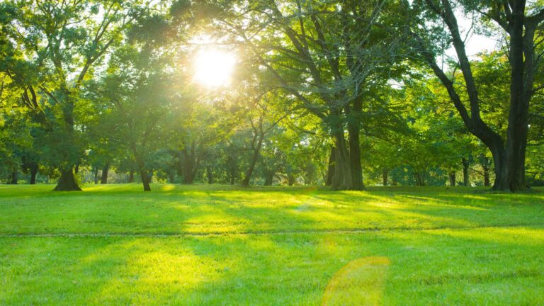 5 clés pour développer des habitudes islamiques de réussite

