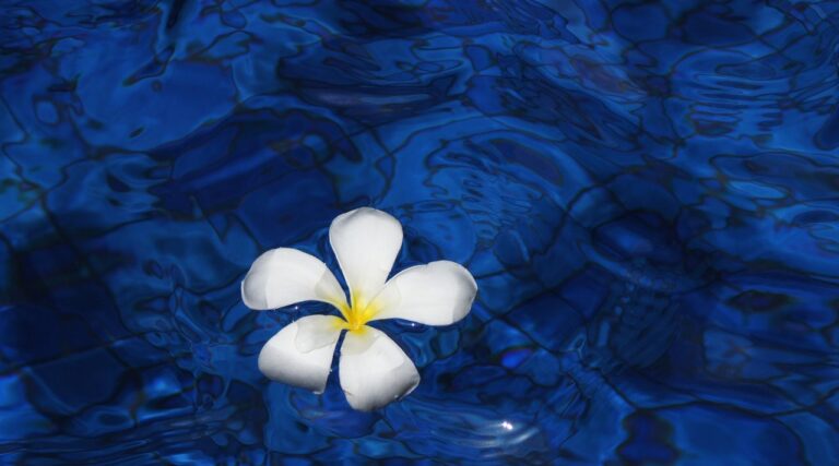 Comment la charia apporte de la valeur à nos vies