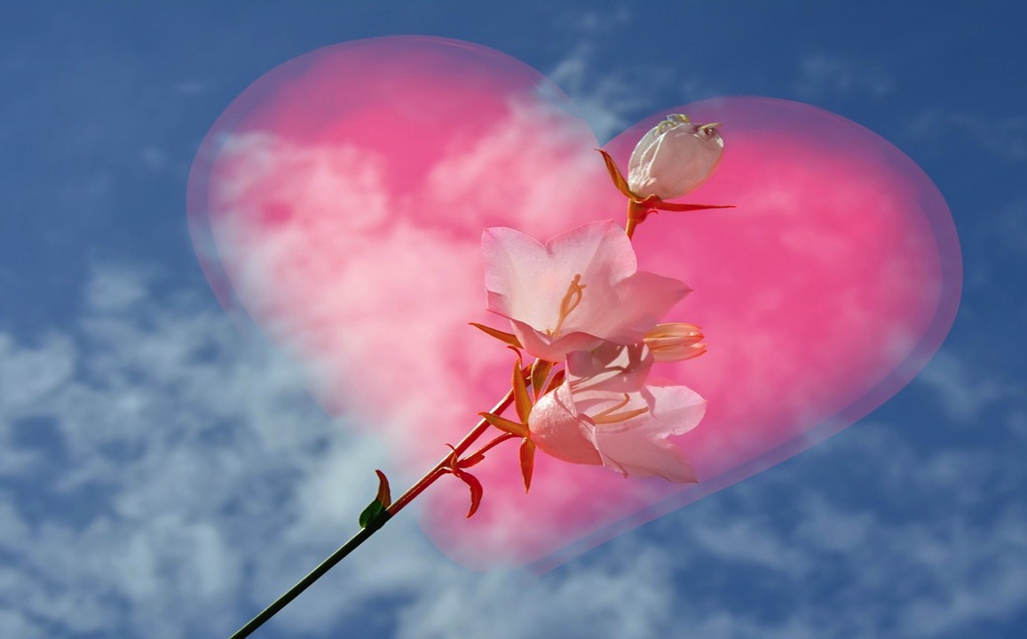 Comment obtenir son amour et son attention