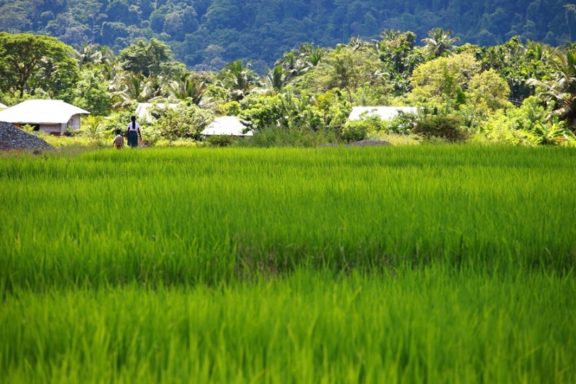 Quel est le but de la vie selon le Coran ?