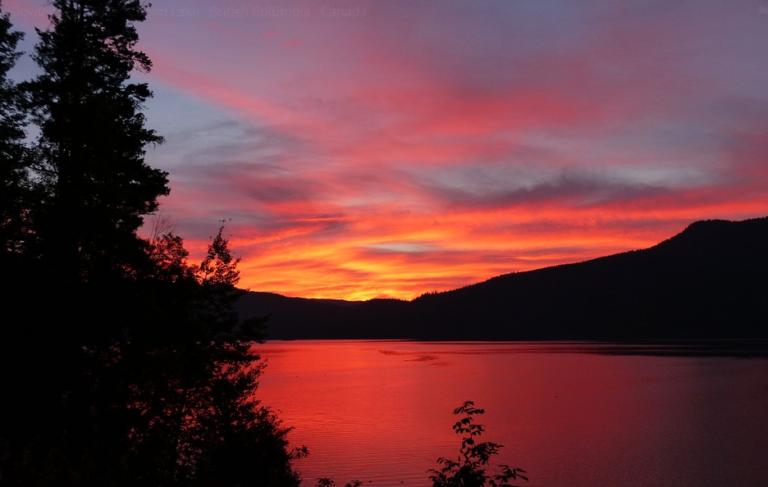 Quelque chose de spécial se produit chaque vendredi