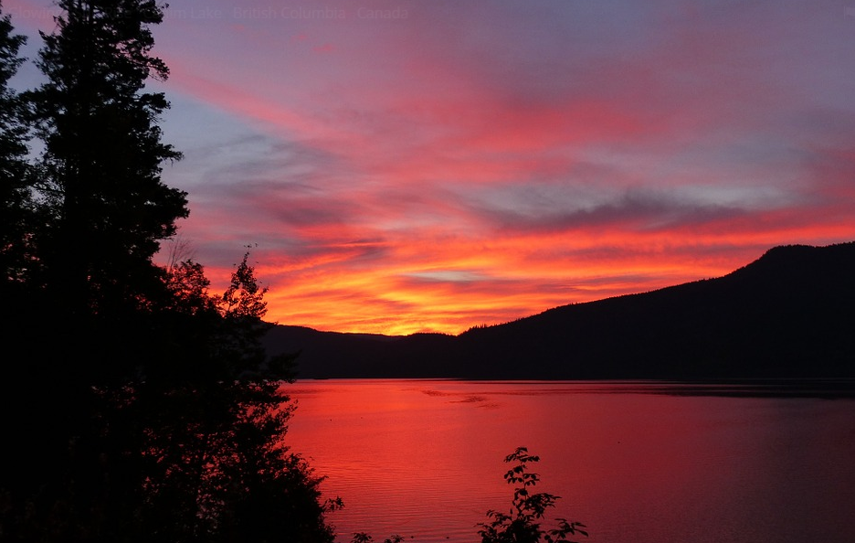 Quelque chose de spécial se produit chaque vendredi