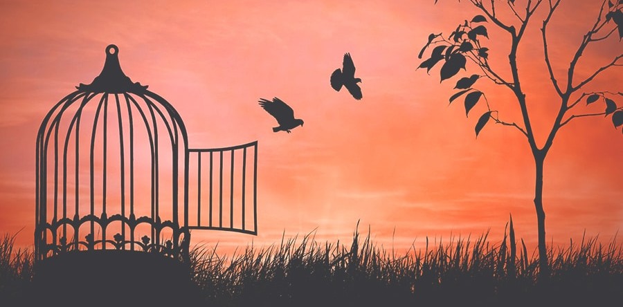 Vous souhaitez fuir la pression familiale à l'étranger