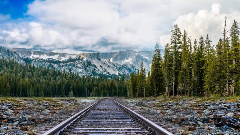 Comment comprendre le destin et le libre arbitre ?