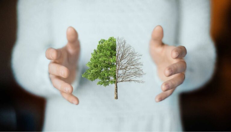 Abandonner ou ne pas abandonner ?