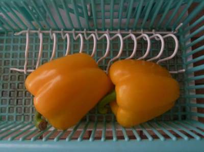 Est-il du devoir de l’homme d’effectuer des travaux à l’intérieur et à l’extérieur ?