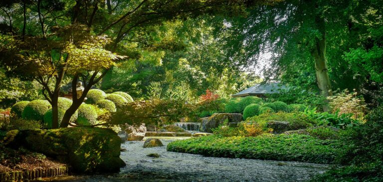 Goûter la douceur de la foi