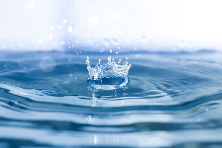 Gouttes de foi : l'eau dans l'islam