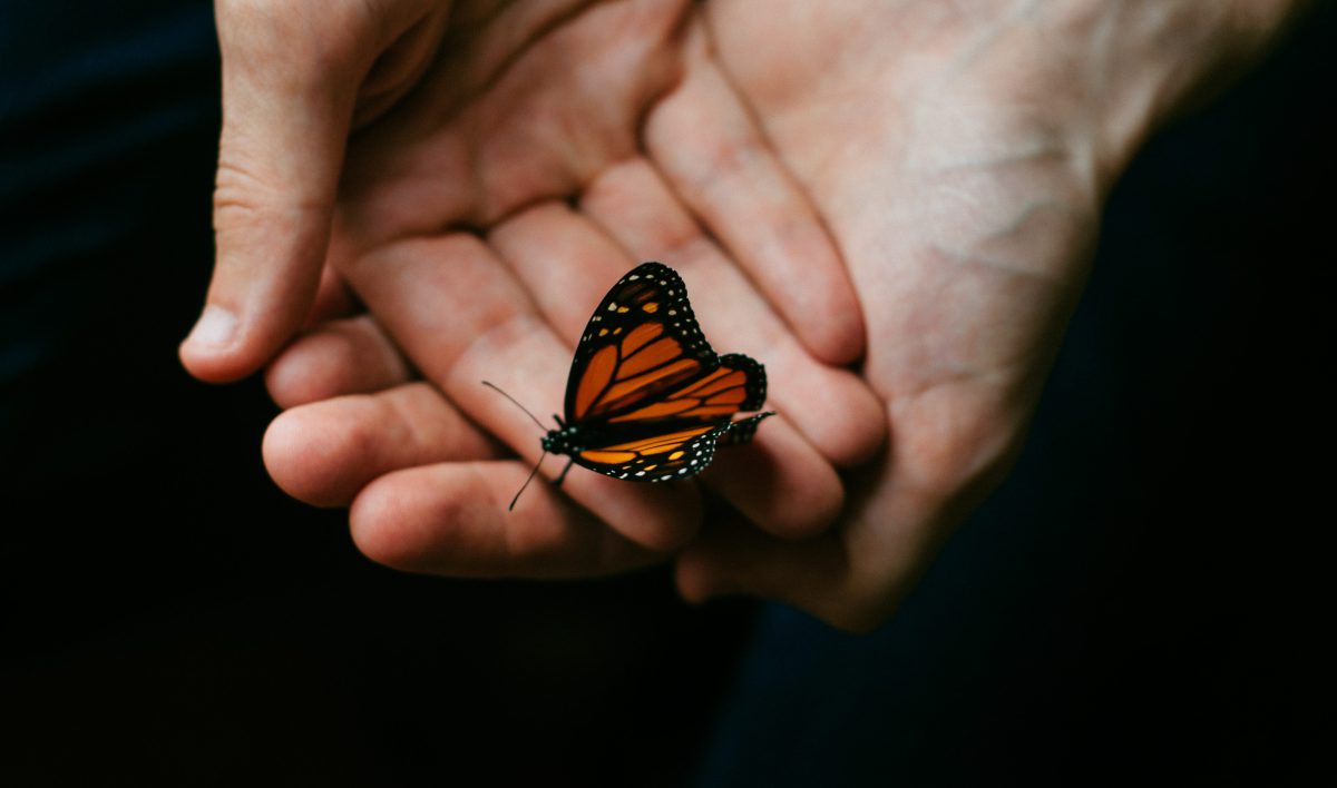 Je déteste être un introverti silencieux