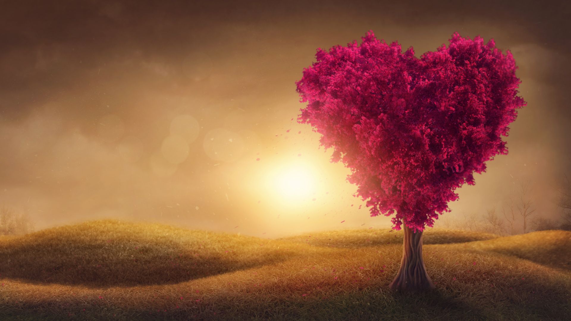 Pouvoir de guérison des émotions négatives