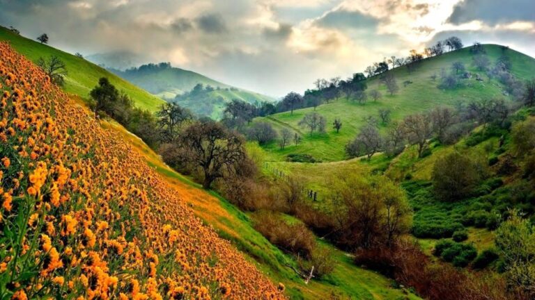 Récompenses pour un repentir sincère