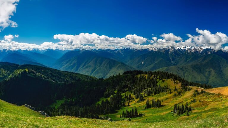 Un seul Dieu – La croyance fondamentale de l’islam