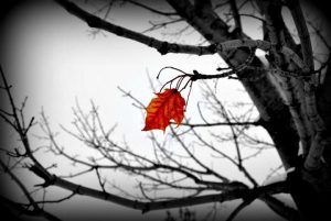 Comment puis-je surmonter la peur et la dépression ?