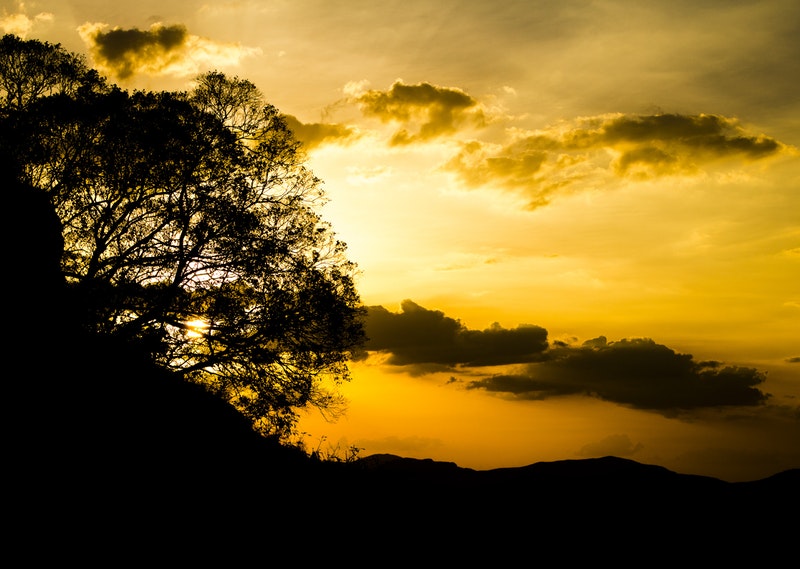 Comment le Prophète (paix sur lui) nous répond-il nos salutations ?