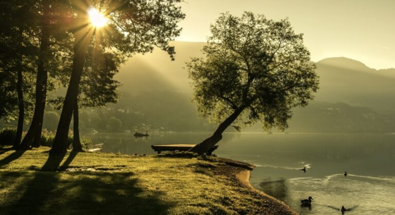 Comment le prophète Mahomet était-il un divertissement professionnel ?